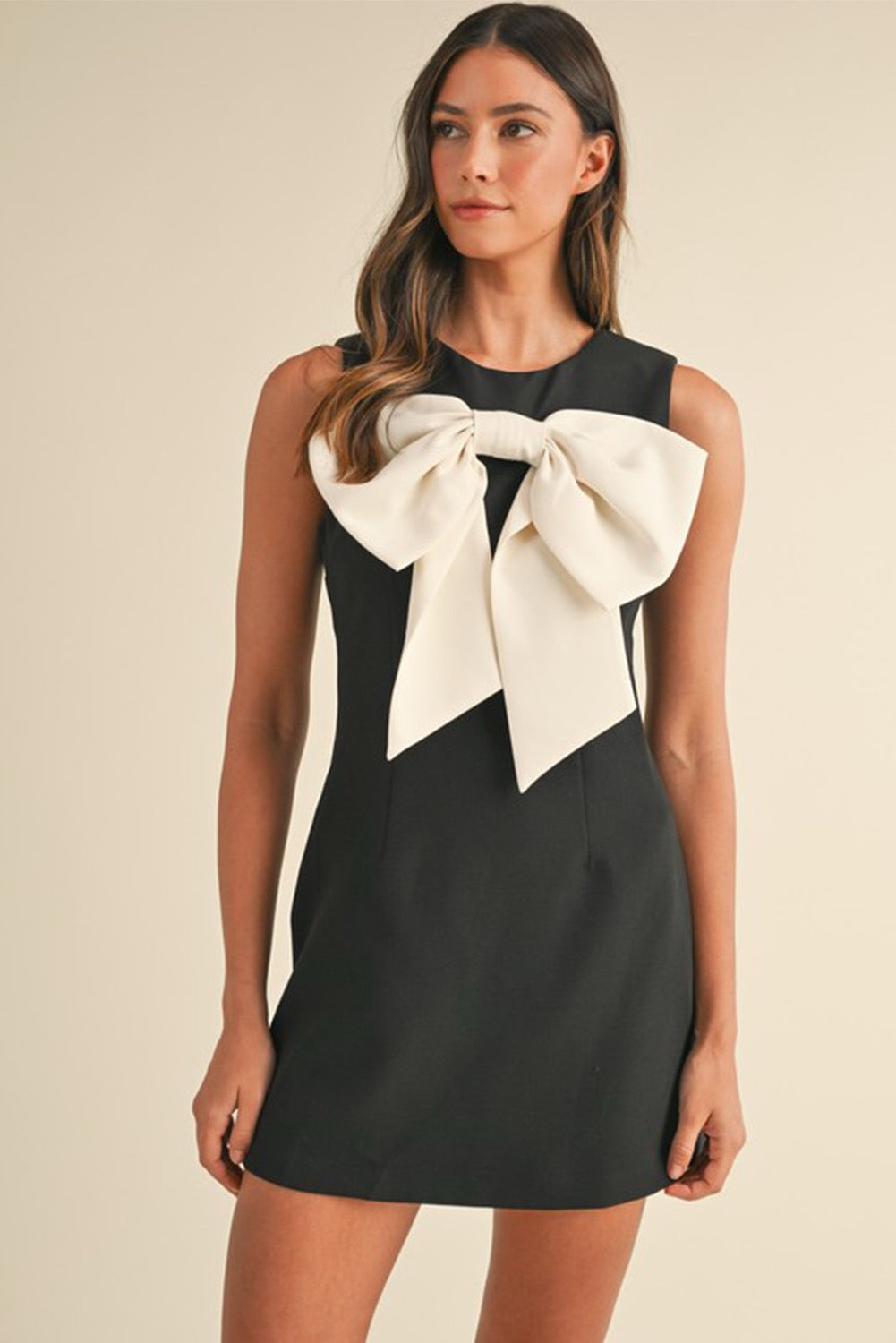 Bow Knot Mini Dress